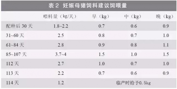 提升母豬年生產(chǎn)力的6大關鍵措施，想多生就得這么干