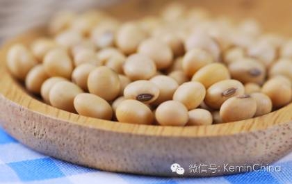 豆油與棕櫚油、牛油、白脂膏和其它脂肪的對比