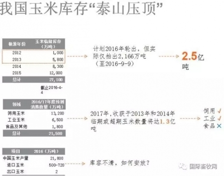 陳化玉米對家禽的危害及全方位營養(yǎng)解決方案