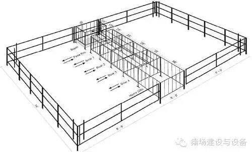 技術(shù)控 | 設(shè)計(jì)有效的公豬誘情系統(tǒng)