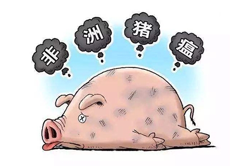 非洲豬瘟“定點(diǎn)清除”技術(shù)指南