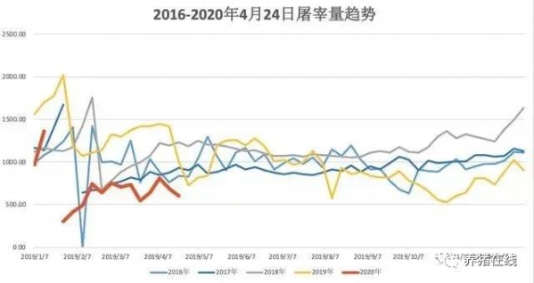 清明、五一豬價都不漲，反映一個重要信息！