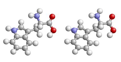 色氨酸對豬生產的影響分析