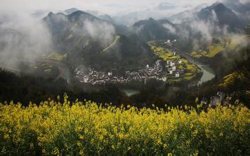 京鵬畜牧破解豬場糞污后續(xù)處理的難題